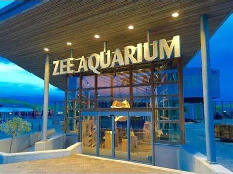 Sea Aquarium Bergen aan Zee: Het Ultieme Avontuur voor Zeeliefhebbers - Uncategorized