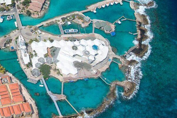 Sea Aquarium Curaçao: Een Adembenemende Ervaring voor Iedereen - Verzorging van Vissen en Aquaria