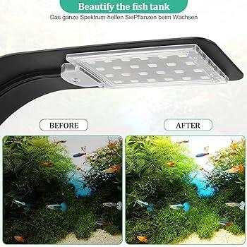 De Beste Verlichting voor Nano Zoetwater Garnalen- en Vissenaquaria - Onderhoud en Verbetering van Aquaria