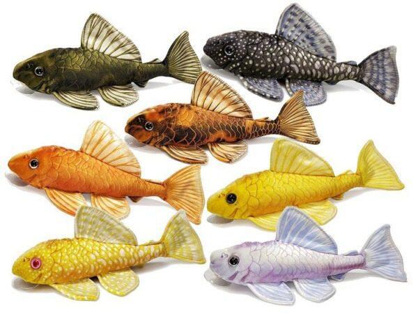 De Ultieme Gids voor het Kweken van Borstelneusmeervallen - Verzorging van Vissen en Aquaria