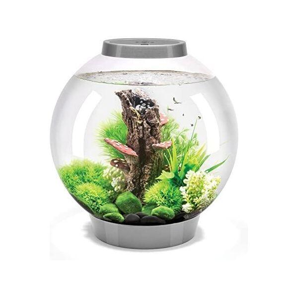 De Beste Verlichting voor Nano Zoetwater Garnalen- en Vissenaquaria - Onderhoud en Verbetering van Aquaria