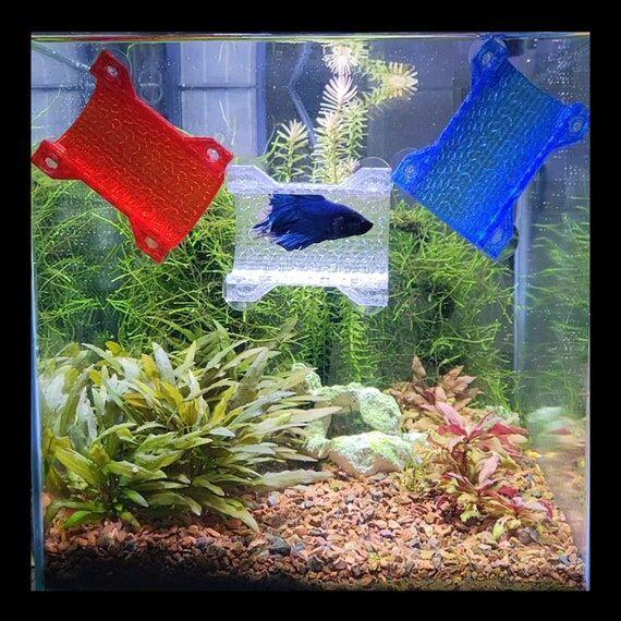 De Beste Verlichting voor Nano Zoetwater Garnalen- en Vissenaquaria - Onderhoud en Verbetering van Aquaria