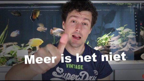 Essentiële Tips voor Effectief Aquarium Onderhoud - Uncategorized