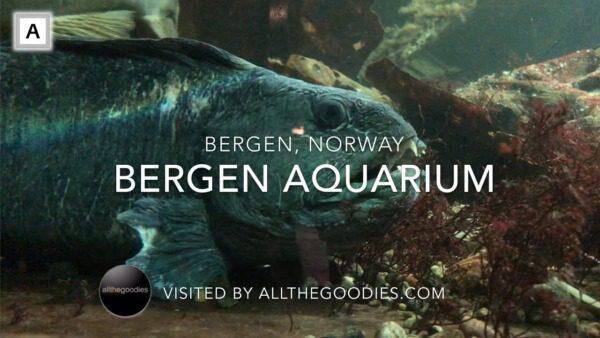 Bergen Aquarium Noorwegen: Een Complete Gids voor Bezoekers - Uncategorized