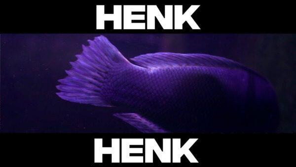 De Beste Rifwachter voor Jouw Aquarium: Tips en Adviezen - Onderhoud en Verbetering van Aquaria