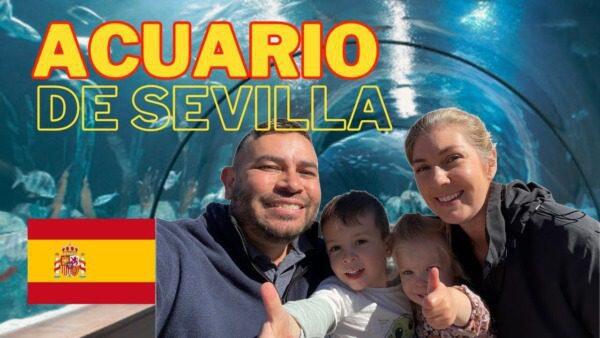 Sevilla Aquarium: Alles wat je moet weten voor een onvergetelijk bezoek - Onderhoud en Verbetering van Aquaria