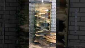 Volglas Aquarium: De Perfecte Keuze voor Jouw Onderwaterwereld - Uncategorized