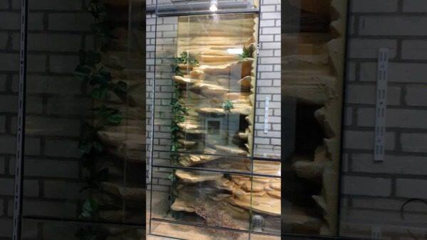 Volglas Aquarium: De Perfecte Keuze voor Jouw Onderwaterwereld - Uncategorized