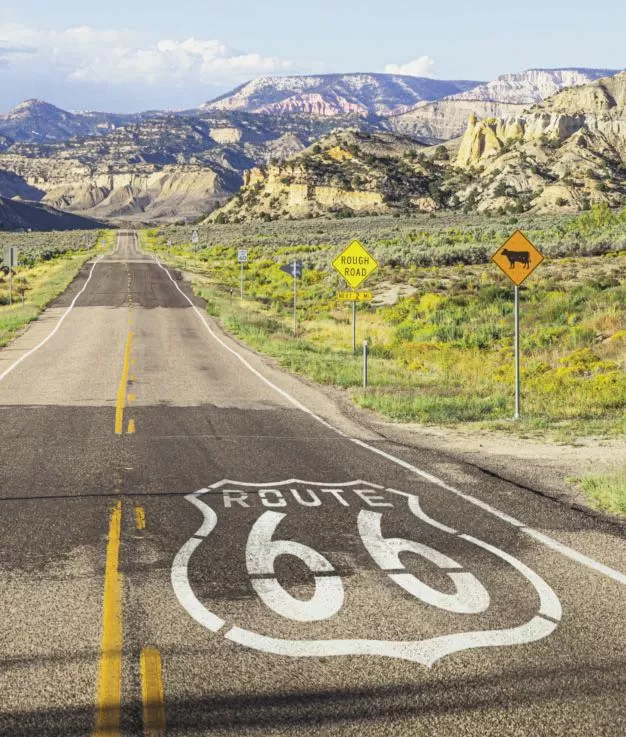 Een Gids voor Koraaldippen voor een Gezond Rif Aquarium - Onderhoud en Verbetering van Aquaria